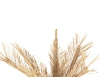 ΔΙΑΚΟΣΜΗΤΙΚΟ ΔΕΝΤΡΟ HM7871 RATTAN ΣΕ ΦΥΣΙΚΟ ΧΡΩΜΑ Φ110x180Yεκ.