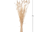 ΔΙΑΚΟΣΜΗΤΙΚΟ ΜΠΟΥΚΕΤΟ ΑΠΟΞΗΡΑΜΕΝΟ HM7959 RABBIT TAIL- CREAM 50gr 76Υεκ.