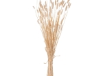 ΔΙΑΚΟΣΜΗΤΙΚΟ ΜΠΟΥΚΕΤΟ ΑΠΟΞΗΡΑΜΕΝΟ HM7959 RABBIT TAIL- CREAM 50gr 76Υεκ.
