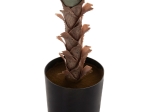ΔΙΑΚΟΣΜΗΤΙΚΟ ΣΥΝΘΕΤΙΚΟ ΦΥΤΟ HM7987 SISAL AGAVE ΣΕ ΓΛΑΣΤΡΑ 120Υεκ.