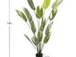 ΔΙΑΚΟΣΜΗΤΙΚΟ ΣΥΝΘΕΤΙΚΟ ΦΥΤΟ HM7997 CALATHEA ΣΕ ΓΛΑΣΤΡΑ 140Υεκ.