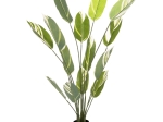 ΔΙΑΚΟΣΜΗΤΙΚΟ ΣΥΝΘΕΤΙΚΟ ΦΥΤΟ HM7997 CALATHEA ΣΕ ΓΛΑΣΤΡΑ 140Υεκ.