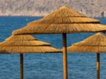 ΟΜΠΡΕΛΑ THATCH