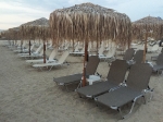 Ομπρελά Fan Palm Φ200