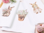Borea Ποτηρόπανα Κουζίνας Bunny  Σετ 3ΤΜΧ (3) 50 x 70 cm Λευκό