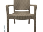 Bonsai Home Πολυθρόνα Rattan PP 58x55x87εκ Μαύρο