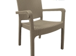 Bonsai Home Πολυθρόνα Rattan PP 58x55x87εκ Μαύρο