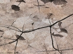 Πατάκι Nirvana Art 9144 65x150 Μπεζ   Beauty Home