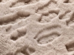 Χαλί GLACIAL BEIGE 150-x-230-εκ
