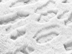Χαλί GLACIAL WHITE 190-x-280-εκ