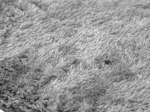 Χαλί FEATHERY GREY 200-x-250-εκ