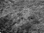 Χαλί FEATHERY BLACK επιθυμητές-διαστάσεις