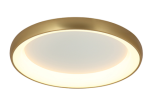 ΦΩΤΙΣΤΙΚΟ ΟΡΟΦΗΣ ΠΛΑΦΟΝΙΕΡΑ Ø80 60W ΧΡΥΣΟ 2058 | ZAMBELIS LIGHTS