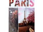ΠΑΡΑΒΑΝ ΤΡΙΦΥΛΛΟ ΔΥΟ ΟΨΕΩΝ ΣΕ ΚΑΜΒΑ HM273 PARIS 180x120x2.5 εκ