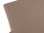ΠΟΛΥΘΡΟΝΑ ΠΟΛΥΠΡΟΠΥΛΕΝΙΟΥ RATTAN ΠΟΔΙ ALU HM5591.02 ΚΑΠΟΥΤΣΙΝΟ 60x60x82 cm