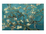 ΠΙΝΑΚΑΣ ΤΥΠΟΥ ALMOND TREE HM7193.03 70X45X3 εκ.