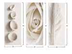 ΠΙΝΑΚΑΣ ΤΡΙΠΤΥΧΟ MDF NATURAL ELEMENTS HM7204.05 60X0,3X50 εκ.