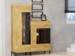 ΒΙΤΡΙΝΑ SANTES ΧΡΥΣΟ ΔΡΥΣ-ΓΡΑΦΙΤΗΣ 90X42X134.50CM