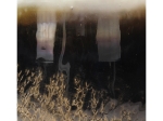 ΚΗΡΟΠΗΓΙΟ ARTELIBRE ΧΡΥΣΟ ΓΥΑΛΙ 23X23X23CM