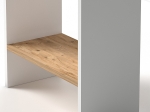 ΒΙΒΛΙΟΘΗΚΗ ΜΕΛΑΜΙΝΗΣ FLORA MEGAPAP ΧΡΩΜΑ WHITE PINE 52X25X158ΕΚ.