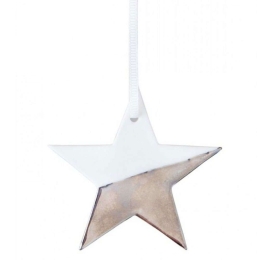 Στολίδι Χριστουγεννιάτικο Star Silver LBTRD0089775 7x6,5cm White-Silver Raeder