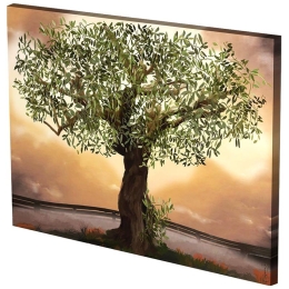 Πίνακας Σε Καμβά MH54 60x80cm Multi Οριζόντιοι Καμβάς