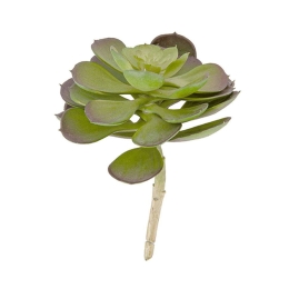 Τεχνητό Φυτό Hen Succelent Pick PT3657 Green Present Time Πλαστικό
