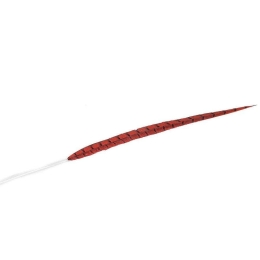 Φτερό Διακοσμητικό FTE217K6 55cm Red Espiel Χαρτί