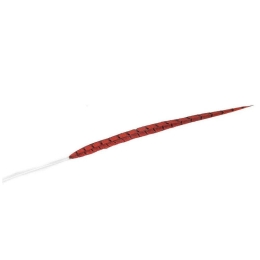 Φτερό Διακοσμητικό FTE218K6 70cm Red Espiel Χαρτί