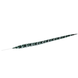 Φτερό Διακοσμητικό FTE225K6 55cm Green-Black Espiel Χαρτί