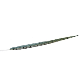 Φτερό Διακοσμητικό FTE229K6 55cm Green-Black Espiel Χαρτί