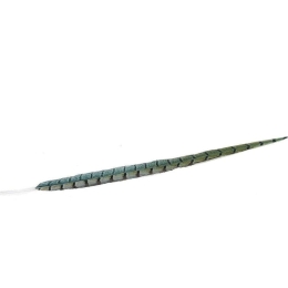 Φτερό Διακοσμητικό FTE231K6 80cm Green-Black Espiel Χαρτί