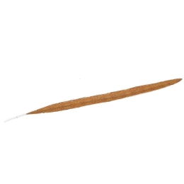 Φτερό Διακοσμητικό FTE233K6 55cm Brown Espiel Χαρτί