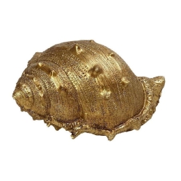 Διακοσμητικό Κοχύλι MT2729K4 13x8x6,5cm Gold Espiel Πολυρεσίνη