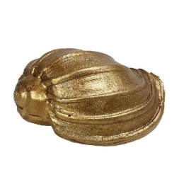 Διακοσμητικό Κοχύλι MT2733K6 7x4,2x3cm Gold Espiel Πολυρεσίνη