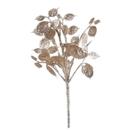 Κλαδί Lunaria 013.793770 40cm Champagne