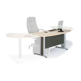 EXECUTIVE ΓΡΑΦΕΙΟ ΑΠΟΧΡΩΣΗ DARK GREY - BEECH
