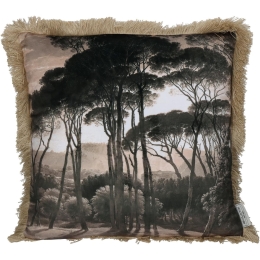ΜΑΞΙΛΑΡΙ ARTELIBRE ΔΑΣΟΣ ΚΑΦΕ ΒΕΛΟΥΔΟ 45X45CM