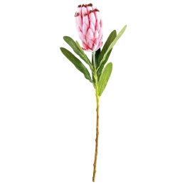 ΦΥΤΟ ARTELIBRE ΡΟΖ ΤΕΧΝΗΤΟ 52CM