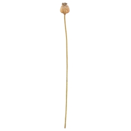 ΚΛΑΔΙ ΣΕΝΕΚΙΟ ARTELIBRE ΤΕΧΝΗΤΟ ΚΑΦΕ 55CM