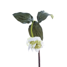 ΦΥΤΟ ARTELIBRE ΛΕΥΚΟ ΤΕΧΝΗΤΟ 86CM