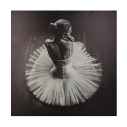 ΠΙΝΑΚΑΣ ΣΕ ΚΑΜΒΑ DANCER PAKOWORLD MDF 78X3X78ΕΚ