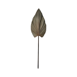 ΔΙΑΚΟΣΜΗΤΙΚΟ ΦΥΛΛΟ LEAFEN I INART ΦΥΣΙΚΟ PALM LEAF 130ΕΚ
