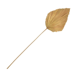ΔΙΑΚΟΣΜΗΤΙΚΟ ΦΥΛΛΟ WALSY INART PALM LEAF ΣΕ ΦΥΣΙΚΗ ΑΠΟΧΡΩΣΗ Υ135 ΕΚ