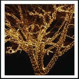 500 PRO Led λαμπάκια IP44 με επεκτεινόμενο πράσινο καλώδιο και θερμό φως 50μ