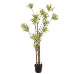 Διακοσμητική γλάστρα με Lily Bamboo με φύλλα σε πράσινη απόχρωση 160 εκ