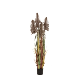Γλάστρα με διακοσμητικά κλαδιά pampas grass σε καφέ απόχρωση 20x180 εκ
