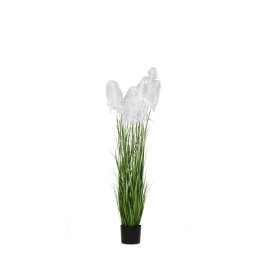 Γλάστρα με διακοσμητικά κλαδιά pampas grass σε λευκή απόχρωση 15x125 εκ