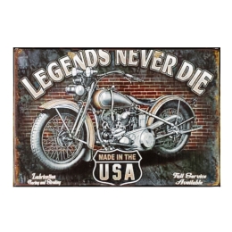 Πίνακας χειροποίητος legends never die 30x20 εκ