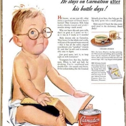 Ρετρό πίνακας χειροποίητος smart baby Carnation